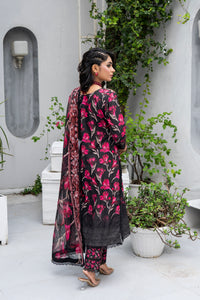 Queen Libas - Midnight Blossom.