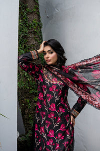 Queen Libas - Midnight Blossom.