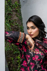 Queen Libas - Midnight Blossom.