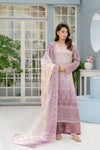 Queen Libas - QL-01 - Aangan Royal.