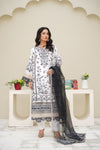 Pakistani Casual Dress - QL04 - Maria B Inspired