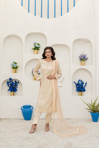 Queen Libas - Shop from No.1 Online Pakistani Boutique in UK