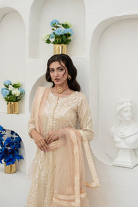 Queen Libas - Shop from No.1 Online Pakistani Boutique in UK