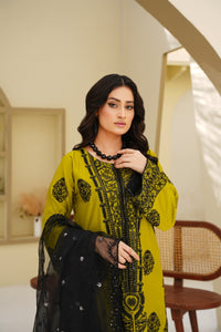 Pakistani Casual Dress - QL05 - Ethnic Inspired