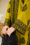 Pakistani Casual Dress - QL05 - Ethnic Inspired