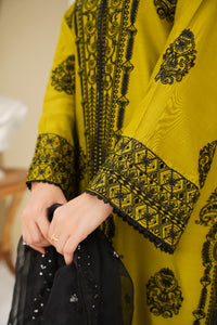Pakistani Casual Dress - QL05 - Ethnic Inspired