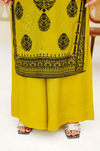 Pakistani Casual Dress - QL05 - Ethnic Inspired