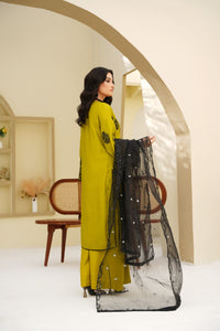 Pakistani Casual Dress - QL05 - Ethnic Inspired