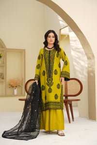 Pakistani Casual Dress - QL05 - Ethnic Inspired