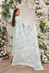 Queen Libas - Shop from No.1 Online Pakistani Boutique in UK