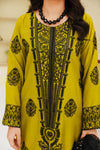 Pakistani Casual Dress - QL05 - Ethnic Inspired