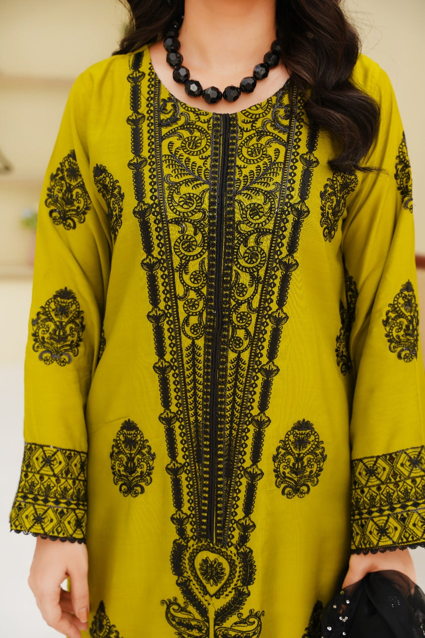 Pakistani Casual Dress - QL05 - Ethnic Inspired