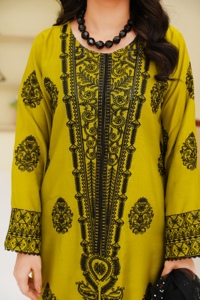 Pakistani Casual Dress - QL05 - Ethnic Inspired